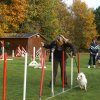 agility 2011-10-30